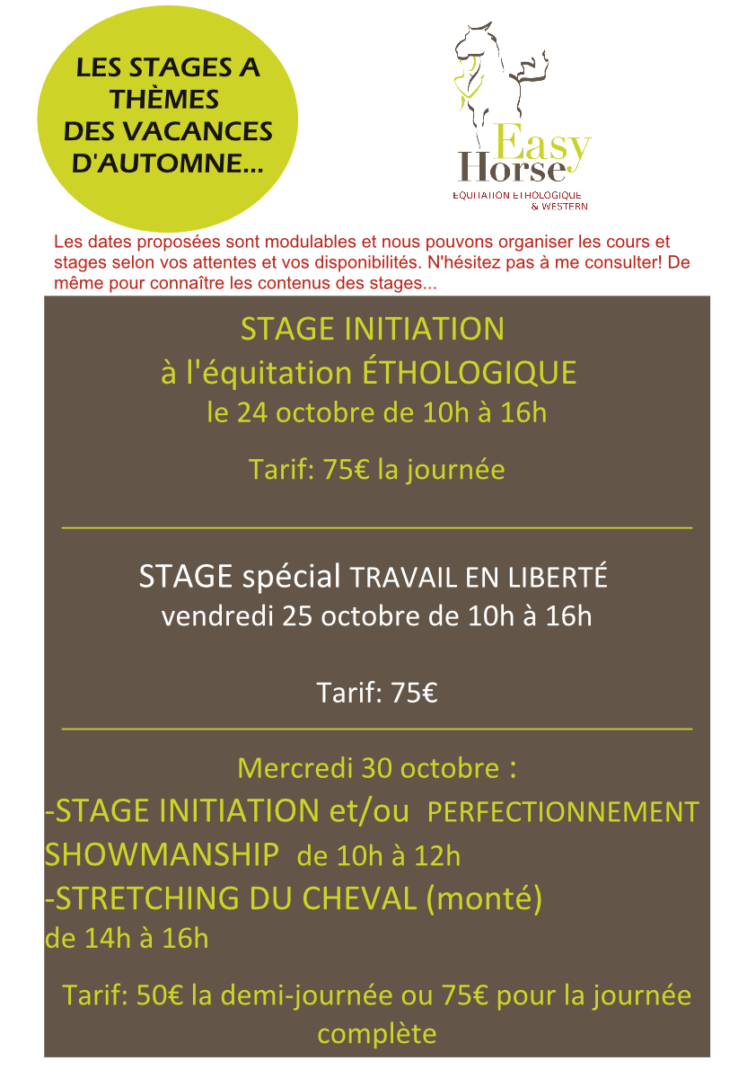 STAGES WESTERN ET ETHOLOGIQUE, Easy horse